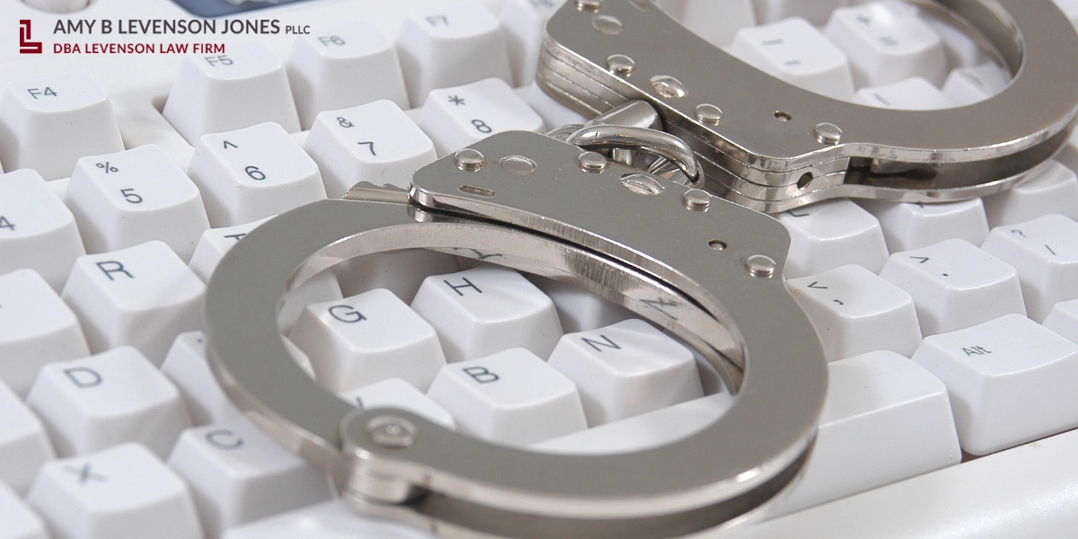 Hermitage White-Collar Crime Lawyer