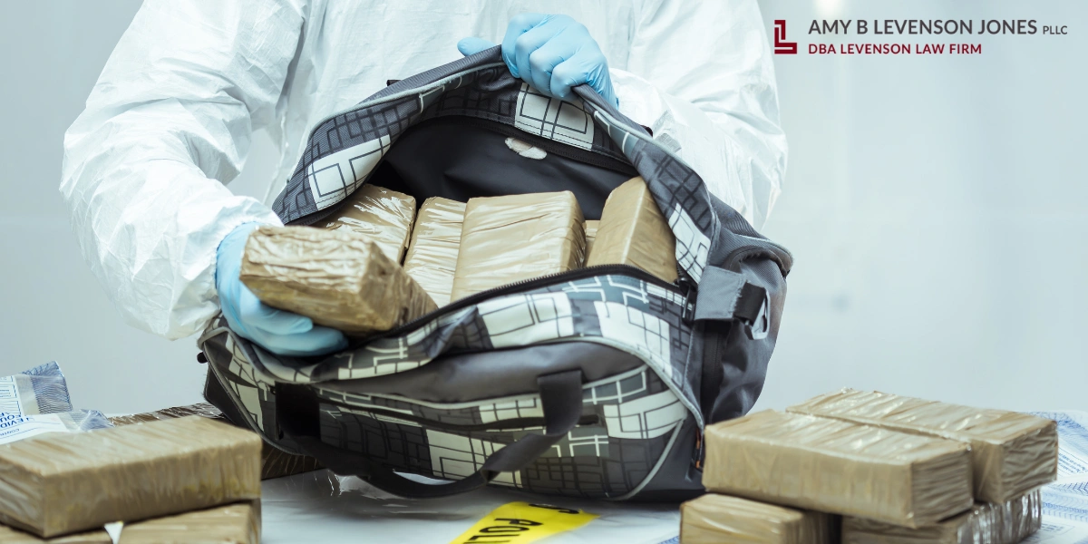 Washington Drug Crime Lawyer