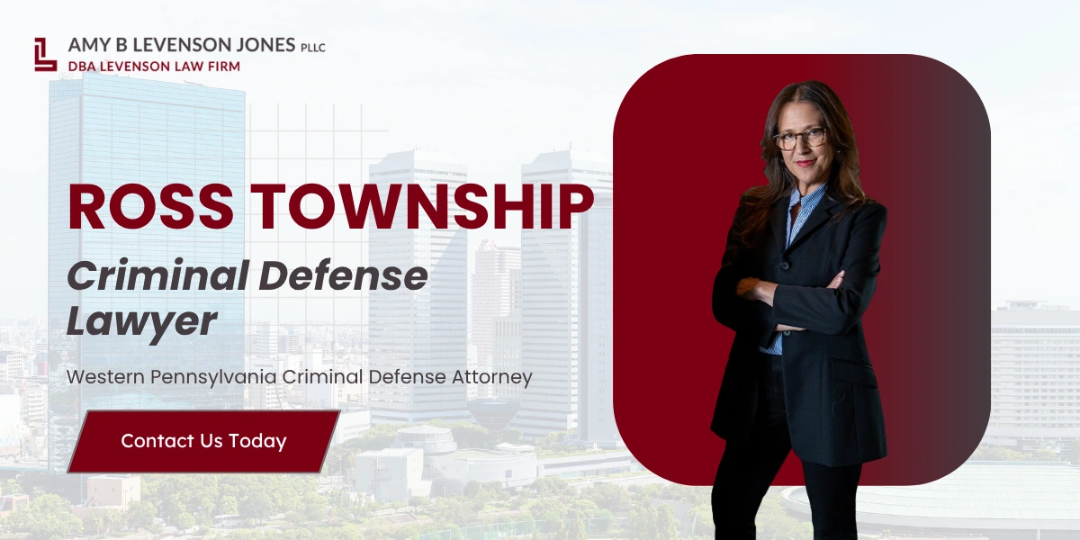 Ross Township Criminal Defense Lawyer Ross Township Criminal Defense Lawyer